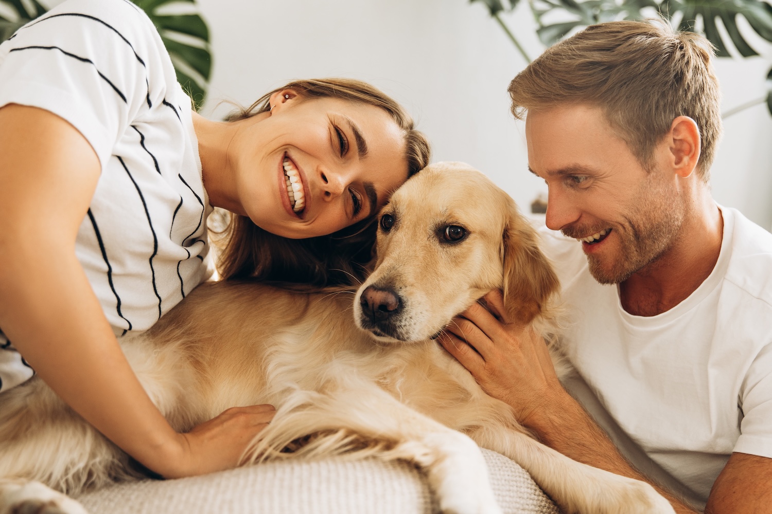 kelly-sikkema-IE8KfewAp-w-unsplash Attractive smiling young couple, boyfriend and girlfriend hugging, petting dog, golden retriever